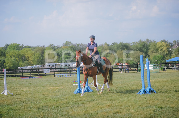 JJS_3341
