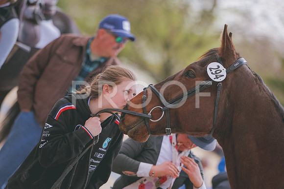 3T5A4074