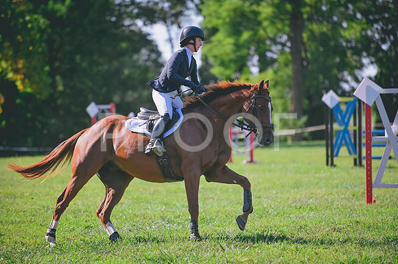 DSC_6156
