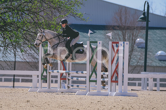 DSC_4939