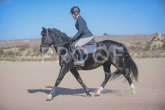 JJS_6199