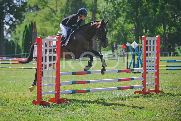 DSC_2742