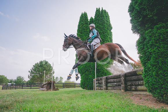 FC25greenNovice-9129