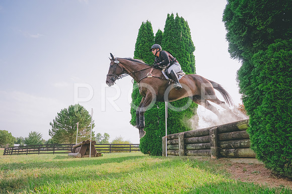 FC25greenNovice-9067