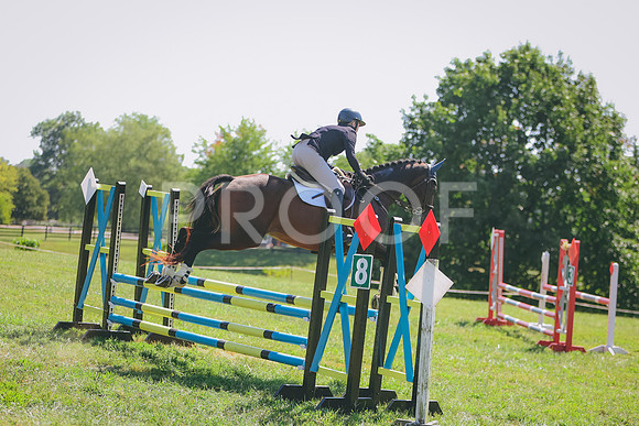 3T5A4204