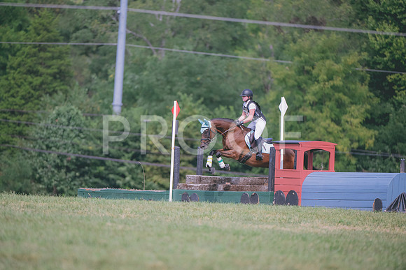 FC25greenNovice-9302