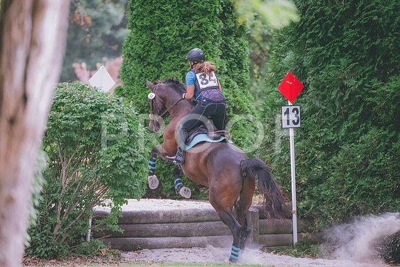 FC25greenNovice-7807