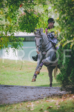 FC25greenNovice-8597