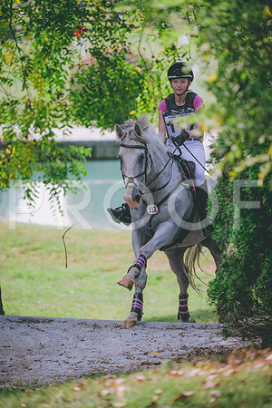 FC25greenNovice-8598