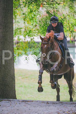 FC25greenNovice-9113