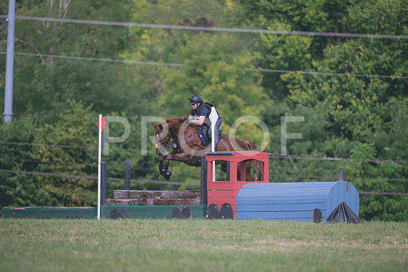 FC25greenNovice-9149
