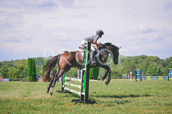TLS_0424