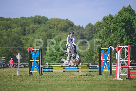 TLS_0637