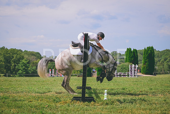 TLS_0929