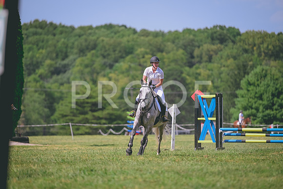 TLS_0984