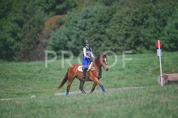 DSC_0854 copy