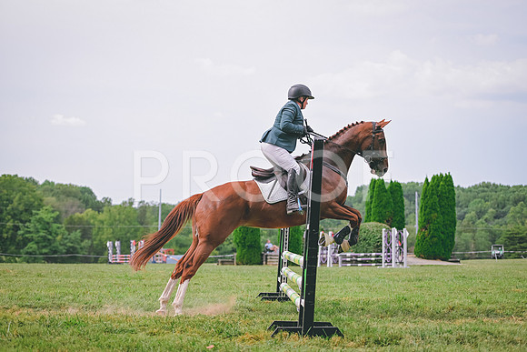 TLS_1261