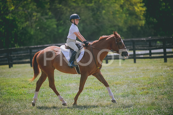 JJS_0121