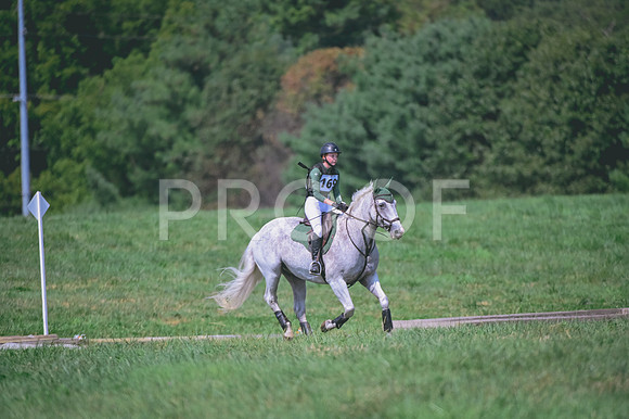 DSC_2317