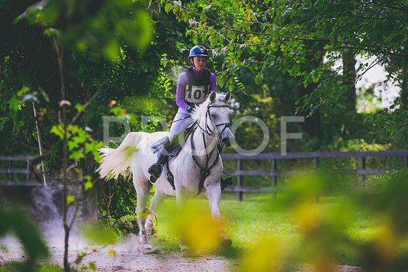 FC25greenNovice-8076