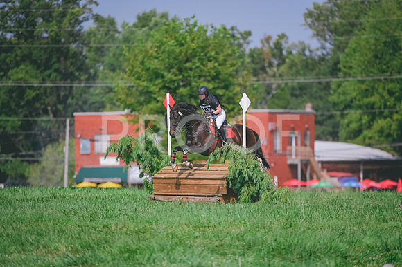 DSC_6040A