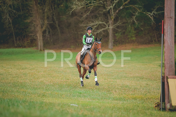 MEL_0168