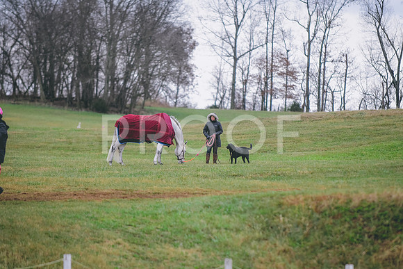 DSC_3742