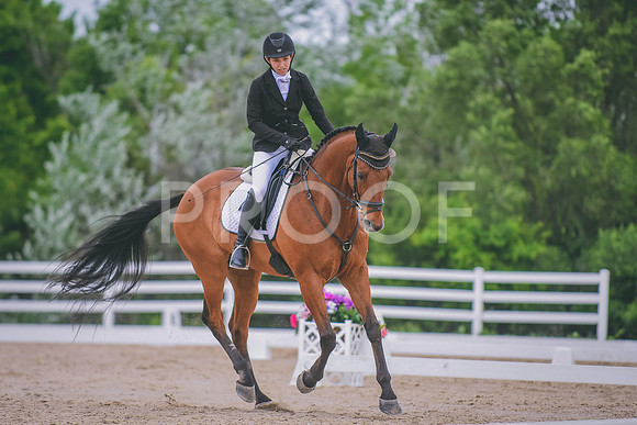 DSC_3516 copy