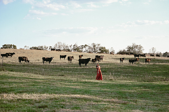 DSC_1993