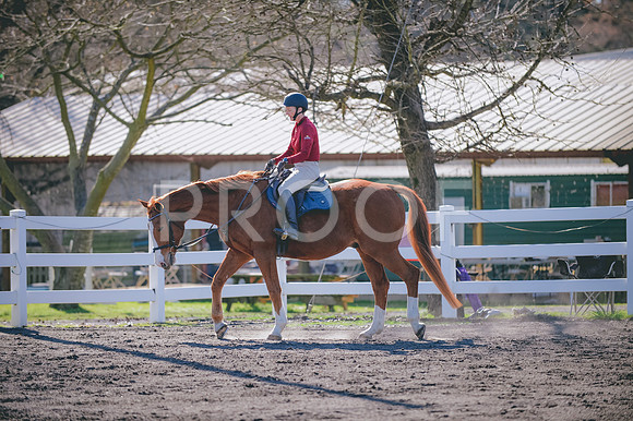 JJS_0693