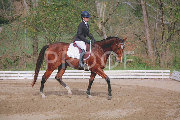 IMG_6077