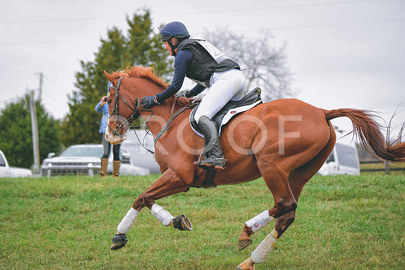MEL_0565