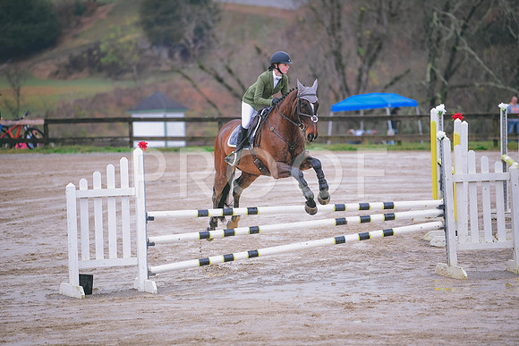 MEL_3509