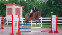0N0A1617