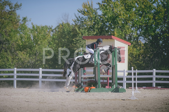 JJS_3227