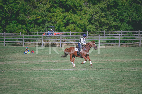 DSC_6007
