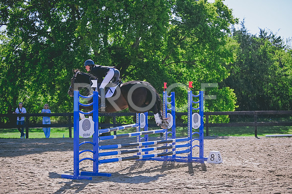 DSC_2936