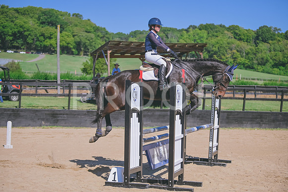 DSC_4011