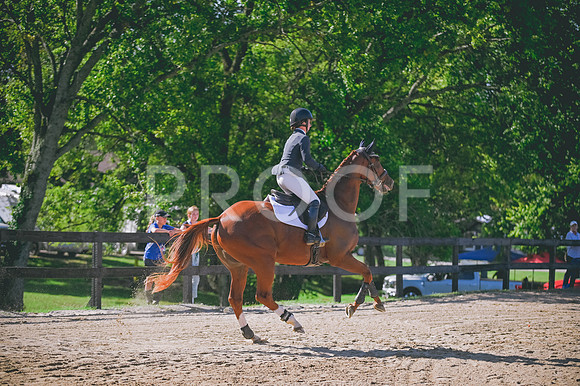 DSC_2410