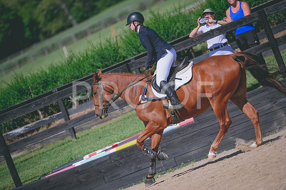 DSC_4806