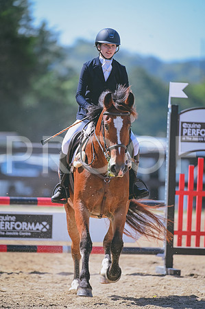 DSC_9994