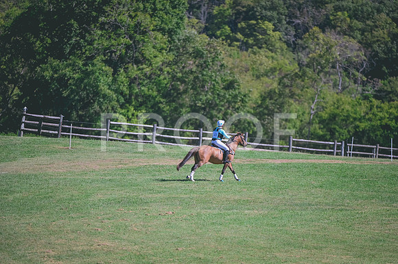 DSC_1765