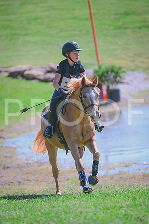 DSC_2257 copy