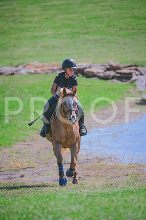 DSC_2244 copy