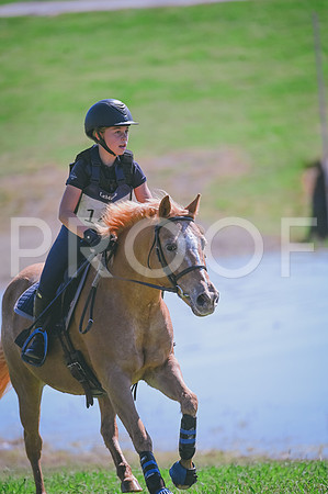 DSC_2262 copy