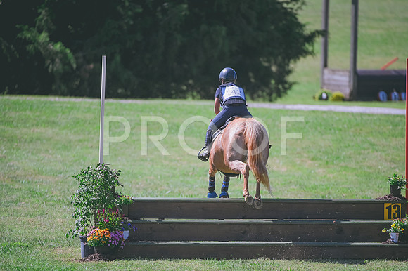 DSC_2284 copy