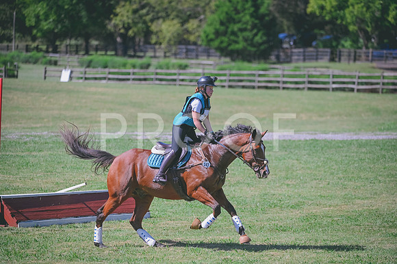 DSC_2184