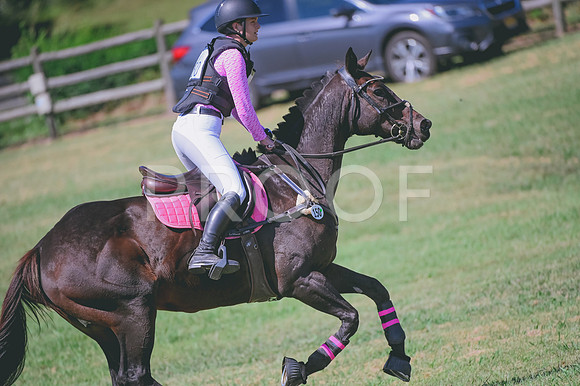 DSC_3231 copy
