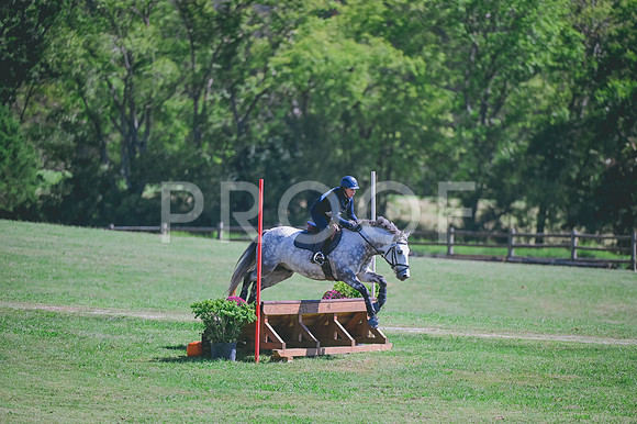 DSC_6678 copy
