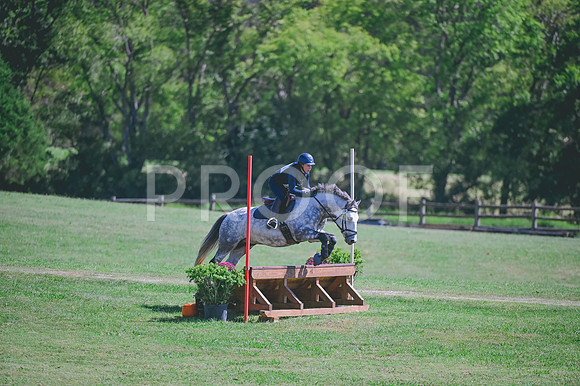 DSC_6677 copy